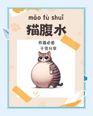 猫咪突然拉肚子怎么办，（猫咪突然拉肚子怎么办吃什么药）