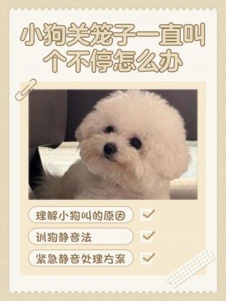 怎么能让狗狗不叫，小狗老叫唤怎么才能让它不叫？