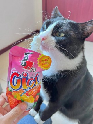 猫咪能吃果冻吗，猫咪能吃果冻吗为什么？