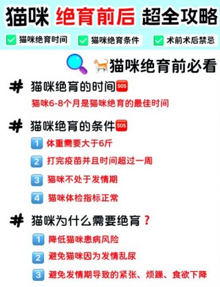 猫猫绝育时间，（猫咪绝育手术时间）