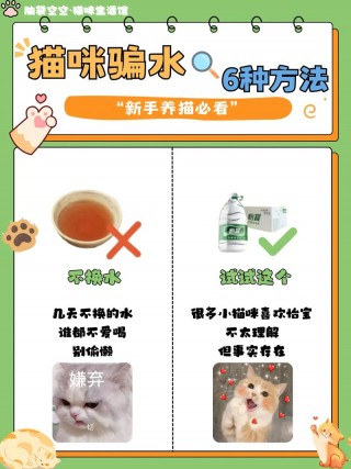 猫咪每天喝多少水，（猫咪每天喝多少水为宜）