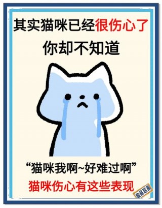 猫咪心情不好的表现？猫咪心情不好的表现图片（最新）