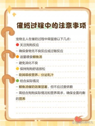 狗狗没有奶水怎么办？狗狗没奶水咋办（最新）
