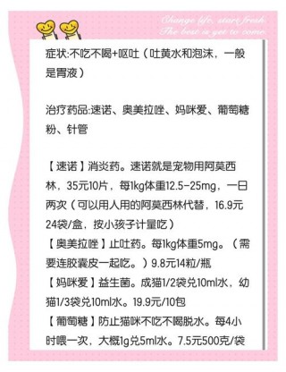 猫咪益生菌多少钱？猫益生菌一次吃多少（最新）