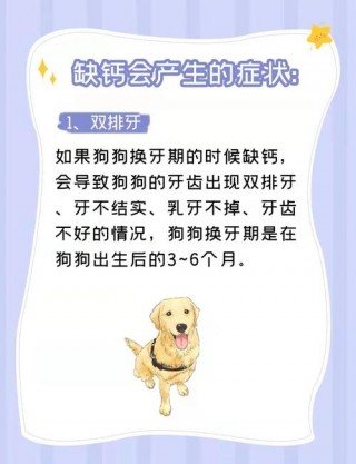 狗狗缺钙吃什么，狗狗缺钙吃什么补钙最快？