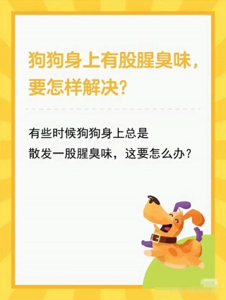 狗狗身上有腥味怎么办，（狗身上有腥味怎么处理）