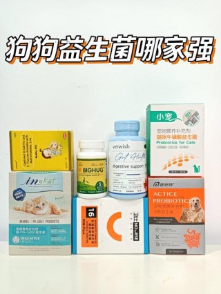 益生菌狗狗什么牌子好？益生菌哪个牌子好狗狗（最新）