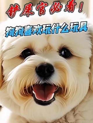 小狗狗喜欢玩什么玩具？小狗崽喜欢玩什么玩具（最新）