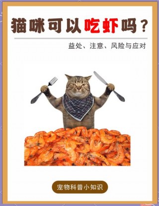 猫咪能吃虾皮吗，猫咪能吃虾皮吗有营养吗？