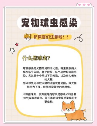 狗狗得球虫什么症状，（狗狗得了球虫病会自愈吗）