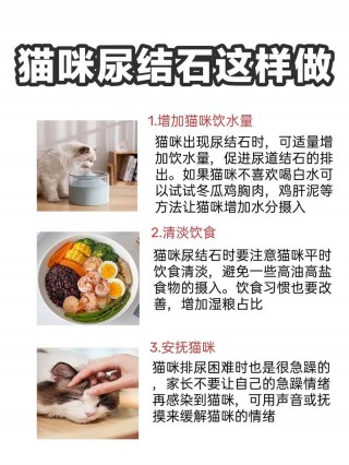 猫咪得了尿结石怎么办，猫得尿结石会不会死？