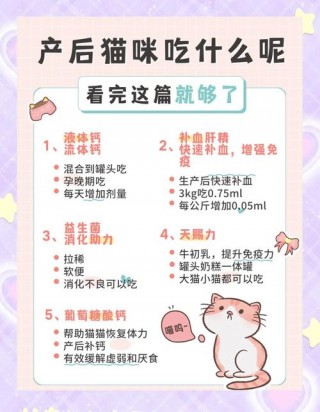 猫咪可以喝鸡汤吗？小猫可以喝鸡汤吗?（最新）