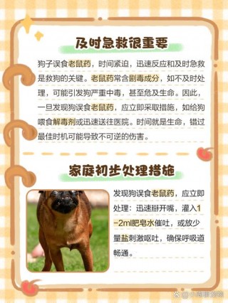 狗狗吃了有毒的东西怎么办，狗吃了毒物怎么办？