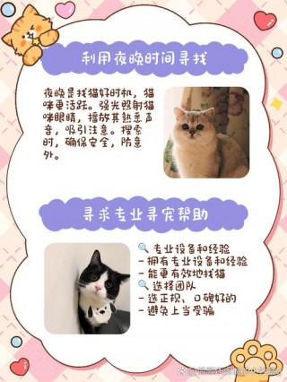 猫咪会认识主人吗？猫咪会认识主人吗为什么（最新）