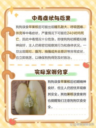 狗狗吃了苹果核怎么办？狗狗吃了苹果核怎么解毒（最新）