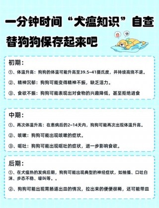 狗狗得犬瘟怎么办，（狗狗得了犬瘟有什么症状?）