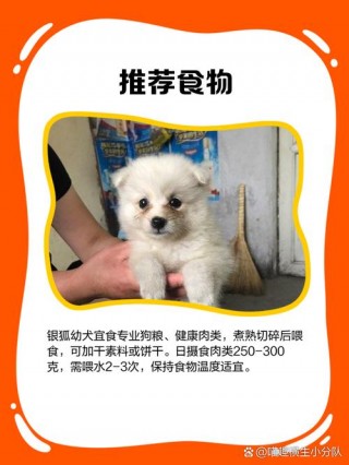 狗狗能吃银耳吗，狗狗能吃银耳嘛？