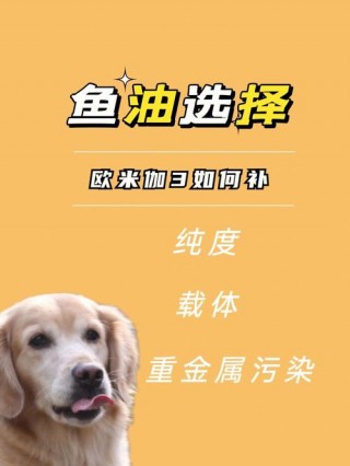 鱼油对狗狗的作用？鱼油对狗狗健康的好处（最新）