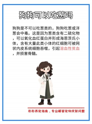 狗狗吃了小葱怎么办，狗吃了小葱的解毒办法？