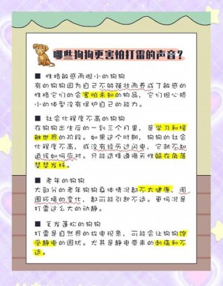 狗狗害怕怎么办安抚，（狗狗很害怕怎么办）