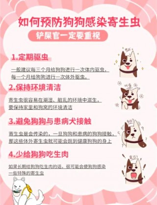 狗狗寄生虫会传染人吗，（狗狗蛔虫舔人能传染么）