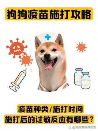 狗狗狂犬一年打一次吗，狗狗狂犬疫苗一年可以打两针吗？