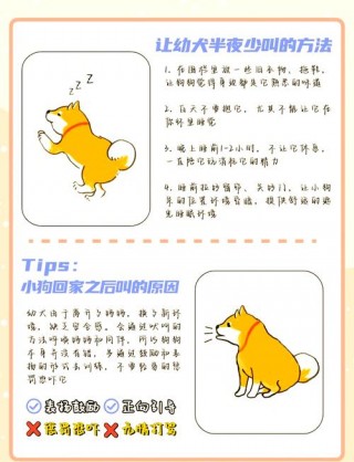 怎样才能让狗狗不叫？怎样可以让狗狗不叫（最新）