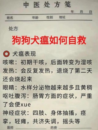 狗狗得了犬瘟怎么办，狗狗得了犬瘟自救方法？