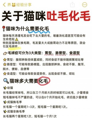 猫咪多大能吃化毛膏，（多大的小猫可以吃化毛膏）