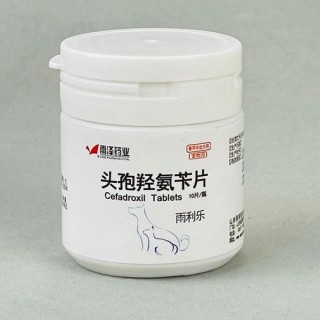 狗狗耳螨去药店买什么药，狗耳螨最简单的土方法？