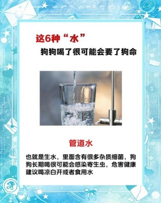狗狗喝凉水会拉肚子吗，（狗狗喝凉水会拉肚子吗）