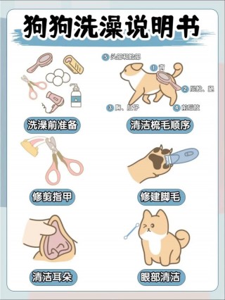 怎么在家给狗狗洗澡，怎么给小狗在家洗澡？