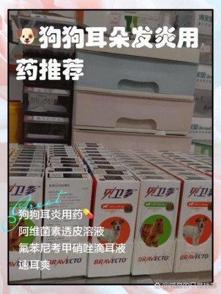 狗狗耳朵红肿怎么办，狗狗耳朵红肿怎么办用什么药？