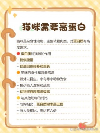 猫咪可以吃蛋白吗，猫咪能吃蛋白嘛？