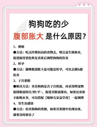 狗狗腹胀快速解决办法？狗狗的腹胀有什么解决办法（最新）