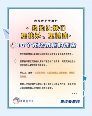 养狗狗有什么好处，（养狗会带来什么运气）