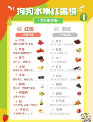 狗狗可以吃雪梨吗？狗狗可以吃雪梨吗?（最新）
