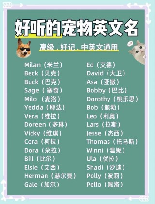 适合狗狗的英文名字？适合狗狗的英文名字顺口（最新）