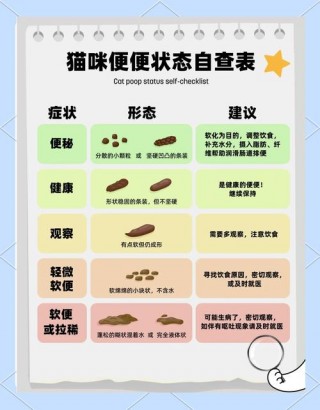 猫咪拉屎粘屁股？猫咪拉屎粘屁股上（最新）