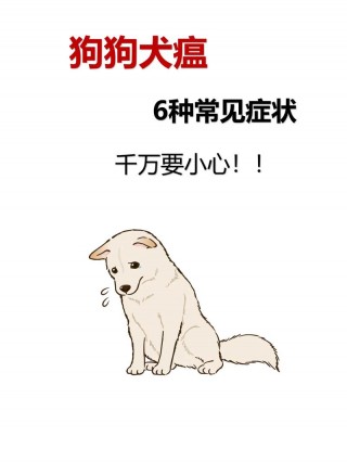狗狗犬瘟的症状，狗狗犬瘟的症状表现？