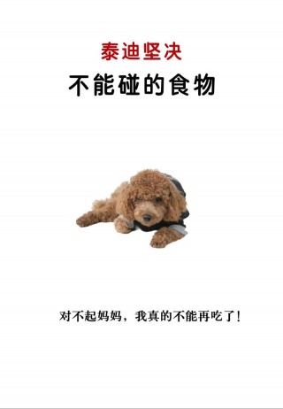 狗狗可以吃生鸡肉吗？小狗可以吃生鸡肉吗（最新）