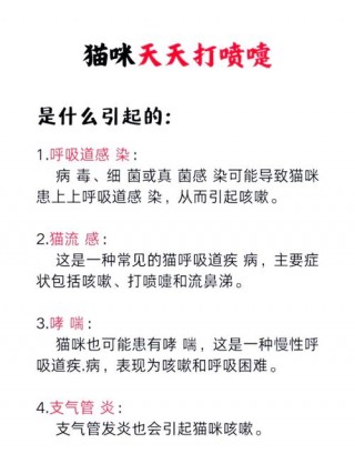 猫咪感冒打什么针？猫咪感冒用什么药好得快（最新）