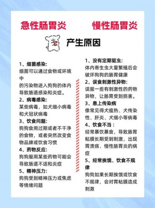 狗狗急性胃炎吃什么药，狗狗急性胃炎吃什么药最管用？