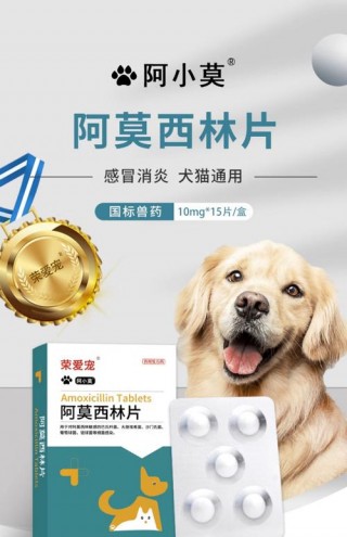 狗狗发热怎么办，狗狗发热的症状表现？