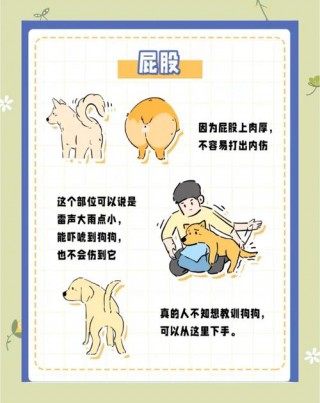 狗狗挨打后都在想什么，（狗狗挨打后的心理）