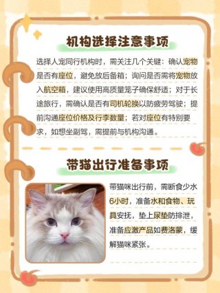 猫咪怎么托运到外地？猫猫怎么托运（最新）
