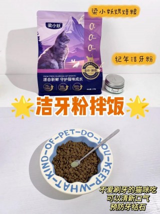 猫咪吃什么会胖，（猫咪吃什么会胖起来）