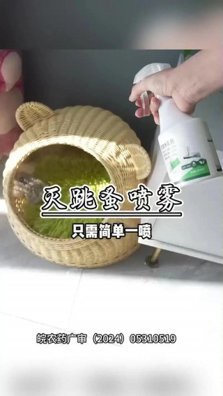 如何去除猫咪身上的跳蚤，如何去掉猫身上的跳蚤？