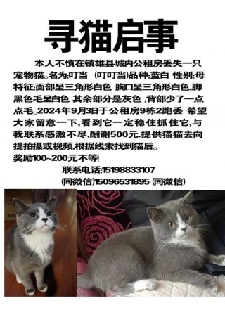 猫猫有灵性吗，猫有灵性吗对主人怎样？