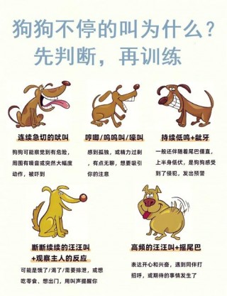 狗狗吠叫的5个原因？狗狗叫唤的原因（最新）